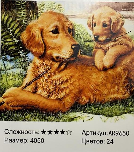 Фото Алмазная картина Собаки на природе 40х50 в интернет-магазине axdv.ru / аиксдв