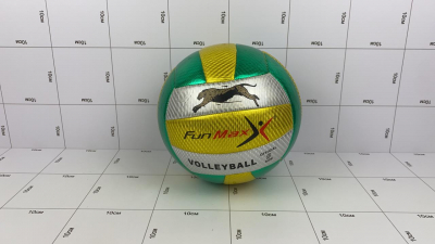 Фото Мяч волейбольный золотисто-зеленый в интернет-магазине axdv.ru / аиксдв