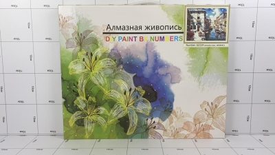 Фото Алмазная мозаика Городской канал 40х50 в интернет-магазине axdv.ru / аиксдв
