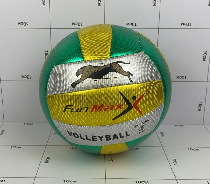 Фото Мяч волейбольный золотисто-зеленый в интернет-магазине axdv.ru / аиксдв