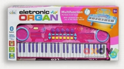 Фото Синтезатор с микрофоном "Электронный орган / Eletronic Organ" в интернет-магазине axdv.ru