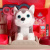 Фото Чемодан "Набор для питомца / Pet Set" 008-980А-3 в интернет-магазине axdv.ru