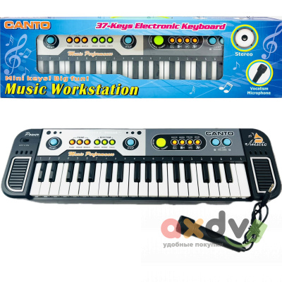 Фото Синтезатор с микрофоном "Песня / Canto" Музыкальная рабочая станция / Music Workstation в интернет-магазине axdv.ru