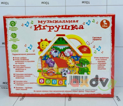 Фото Игрушка Музыкальная "Дом" в интернет-магазине axdv.ru