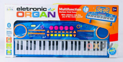 Фото Синтезатор с микрофоном "Электронный орган / Eletronic Organ" в интернет-магазине axdv.ru