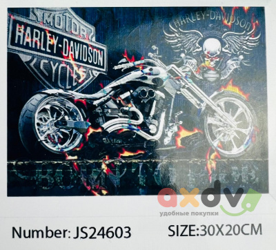 Фото АКЦИЯ!!! Кристальное искусство Алмазная мозаика 30х20 в интернет-магазине axdv.ru