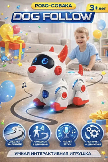 Фото АКЦИЯ!!! Игрушка "Следуй, собака / Dog Follow" в интернет-магазине axdv.ru / аиксдв