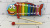Фото Ксилофон "Fish" в интернет-магазине axdv.ru
