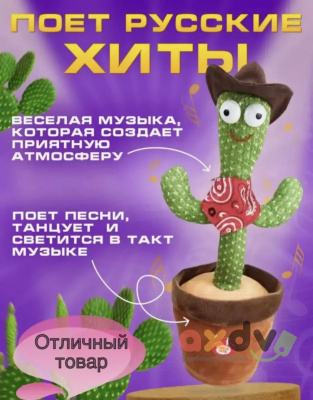 Фото Танцующий Кактус в одежде, цвета микс в интернет-магазине axdv.ru